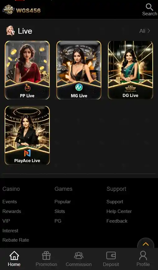 WGS456 Game Download apk
