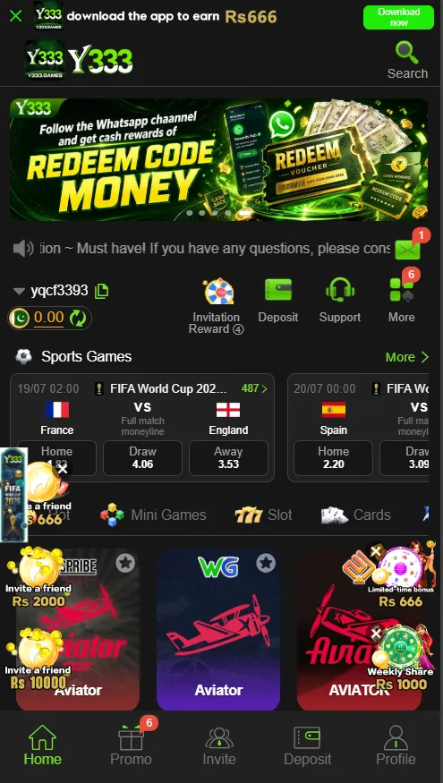 Y333 Game
