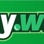 YayWin Game official app logo banner in green background