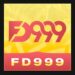 Clean branding typography logo for the FD999 game platform.