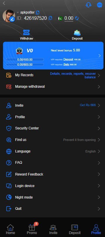 666w game user profile dashboard
