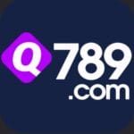 Q789 Game