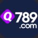 Q789 Game